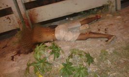 Imagens fortes: suposto integrante do Sindicato do RN é morto e tem cabeça decapitada na Zona Oeste de Natal