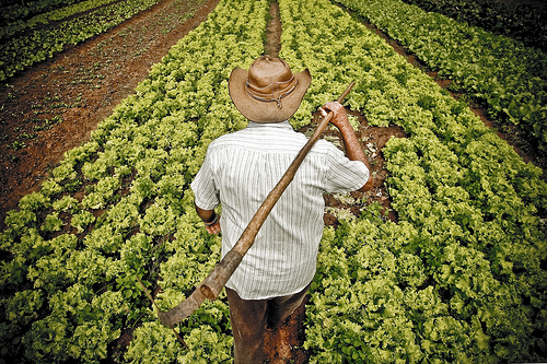 Agricultores do Nordeste podem renegociar dívidas contraídas até 2016