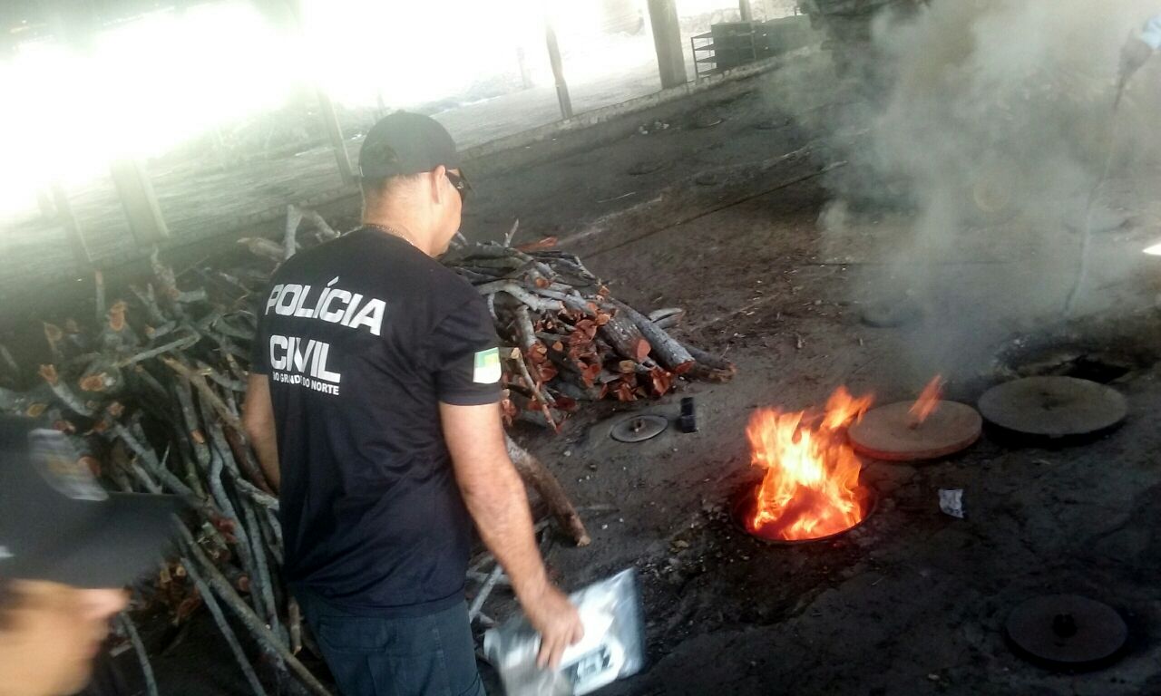 Denarc incinera na Grande Natal meia tonelada de drogas apreendidas em operações
