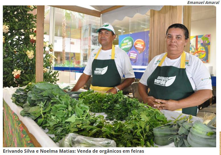 Armazém Pará realiza sábado feira de produtos orgânicos, em parceria com o projeto “Amigo Verde Gramorezinho”