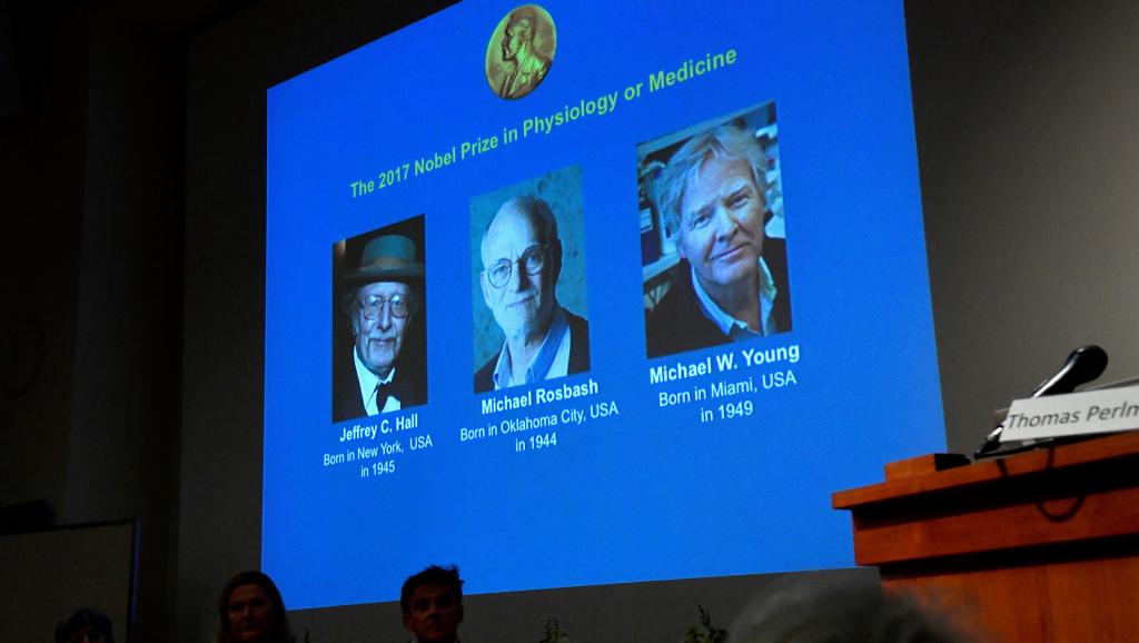 Três americanos ganham Nobel de Medicina por estudos sobre ritmo circadiano