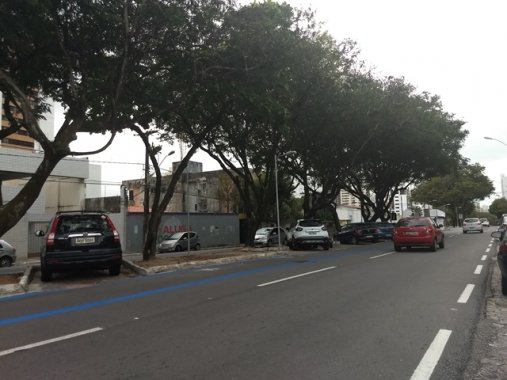 Avenida Afonso Pena ganha nova atualização viária em Natal