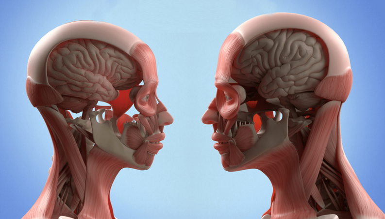 Mente humana continua funcionando mesmo após a morte, revela estudo