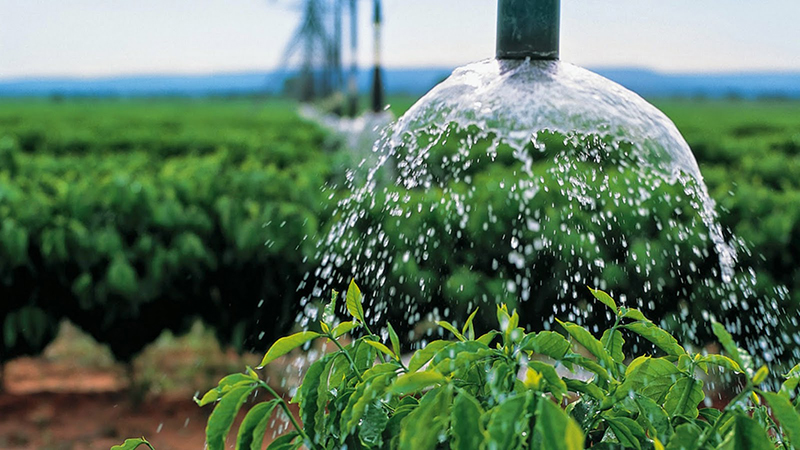 Brasil está entre os dez países com a maior área irrigada do planeta, diz estudo