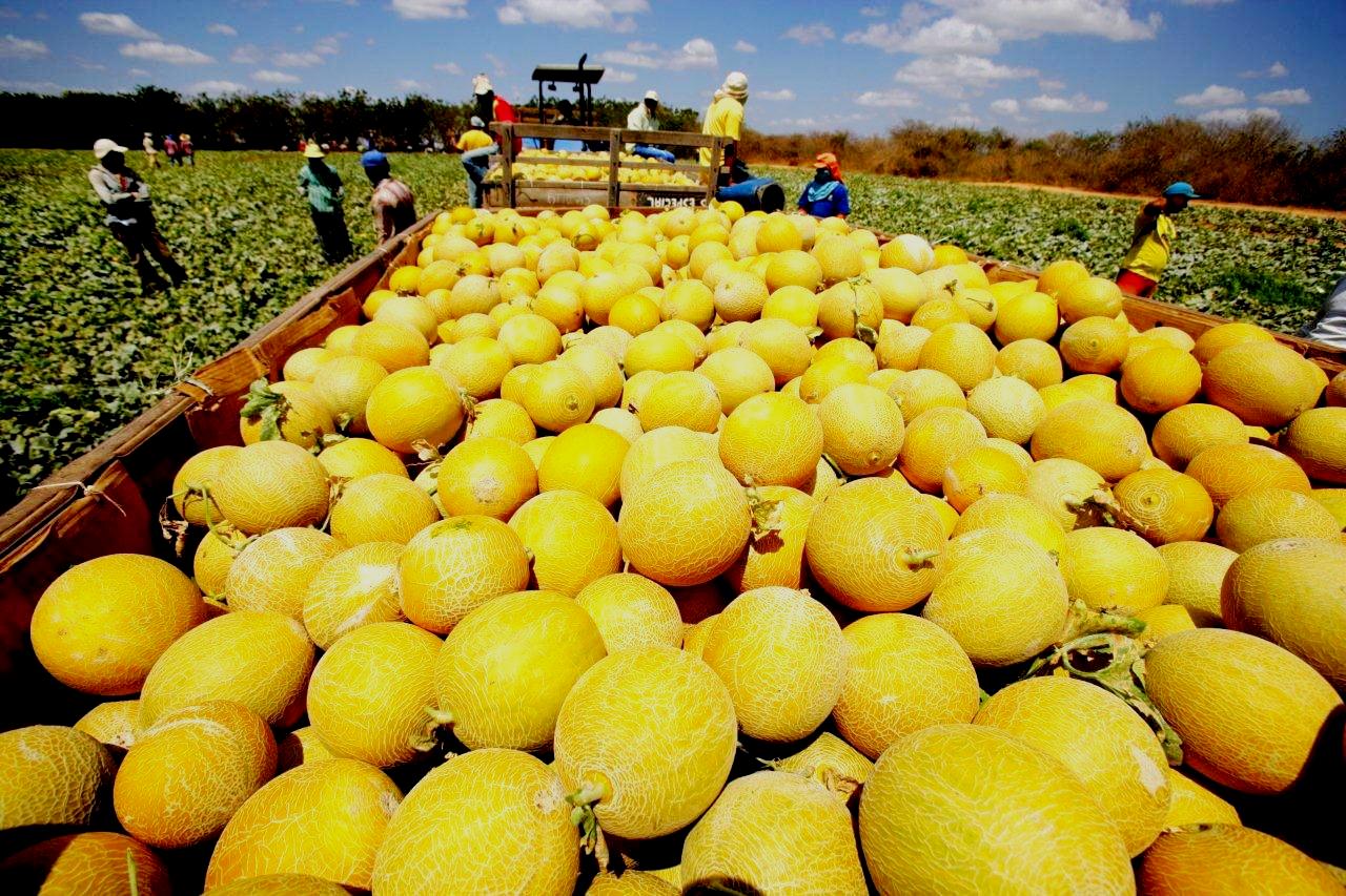 Superávit da balança comercial já chega a US$ 86,7 milhões no ano