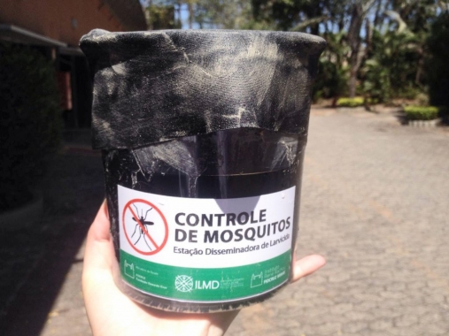 Natal implementa nova técnica de combate ao Aedes aegypti