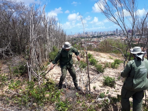 Ação conjunta de fiscais urbanísticos e ambientais tenta conter invasões na ZPA-01