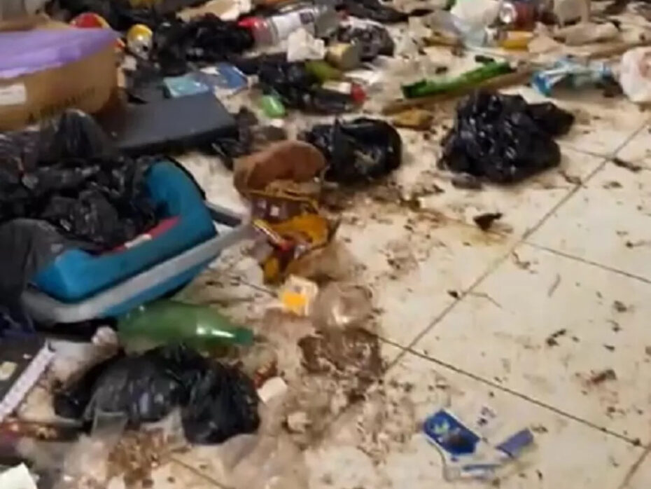 Psicóloga é presa em Mossoró, por maus tratos e abandono ao filho adolescente e 23 cães