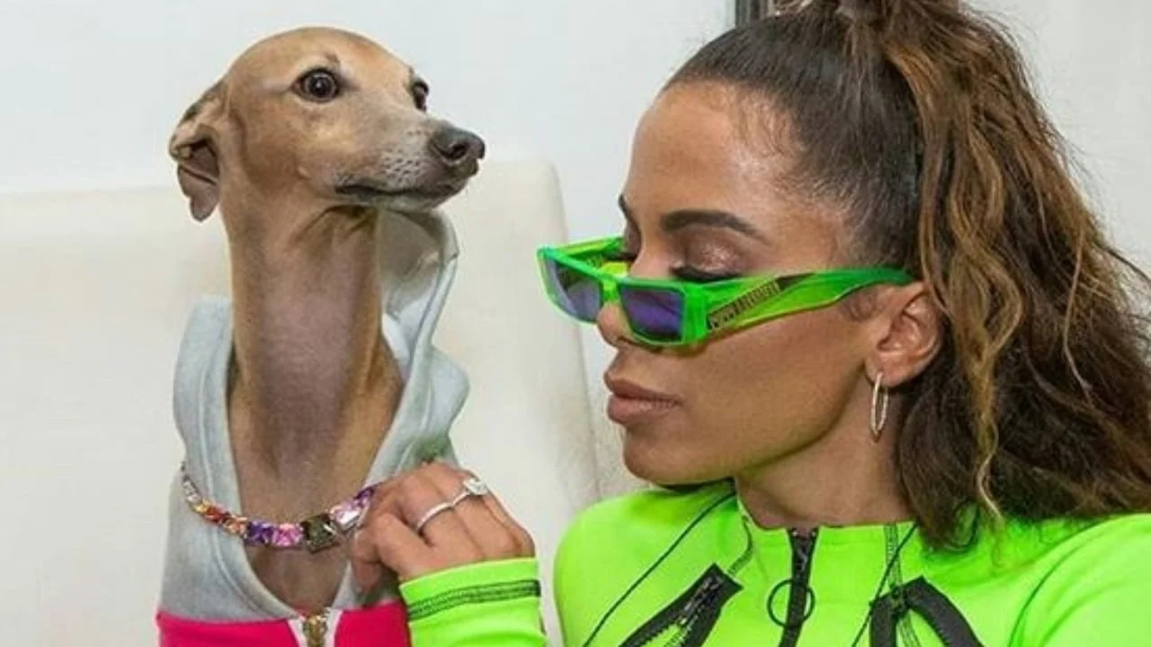 Anitta é criticada na web após dizer que teria relação sexual com cachorro