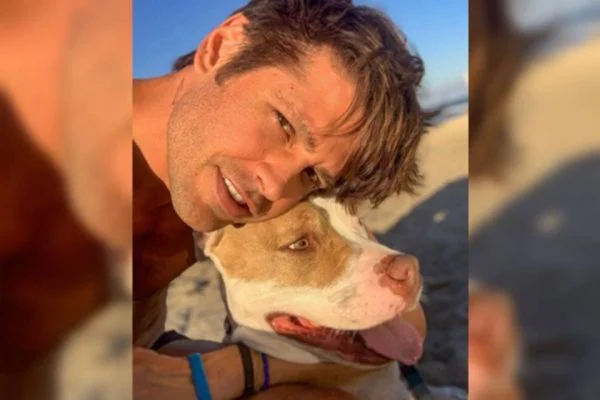 Pit-bull vegana do ator Dado Dolabella ataca vizinhos: “Sem carne há anos”