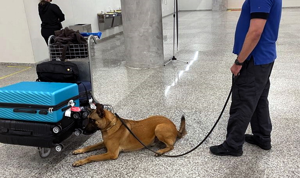 PF prende mulheres com 54,5 kg de maconha no aeroporto de Natal