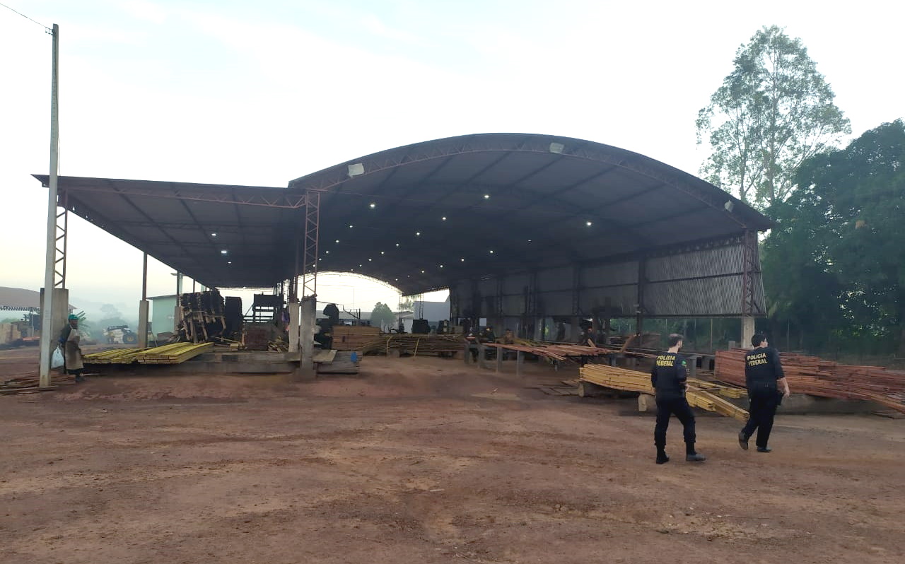 Operação da PF combate comercialização e transporte ilegal de madeiras do Pará para o RN