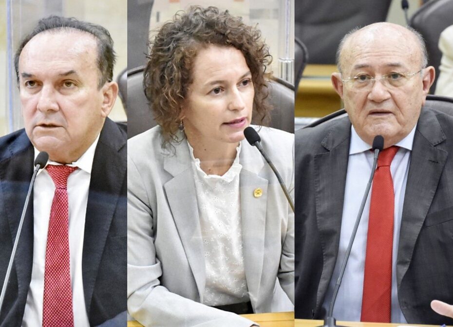 Seta: Nelter, Isolda e Vivaldo lideram para deputado estadual; veja todos os citados