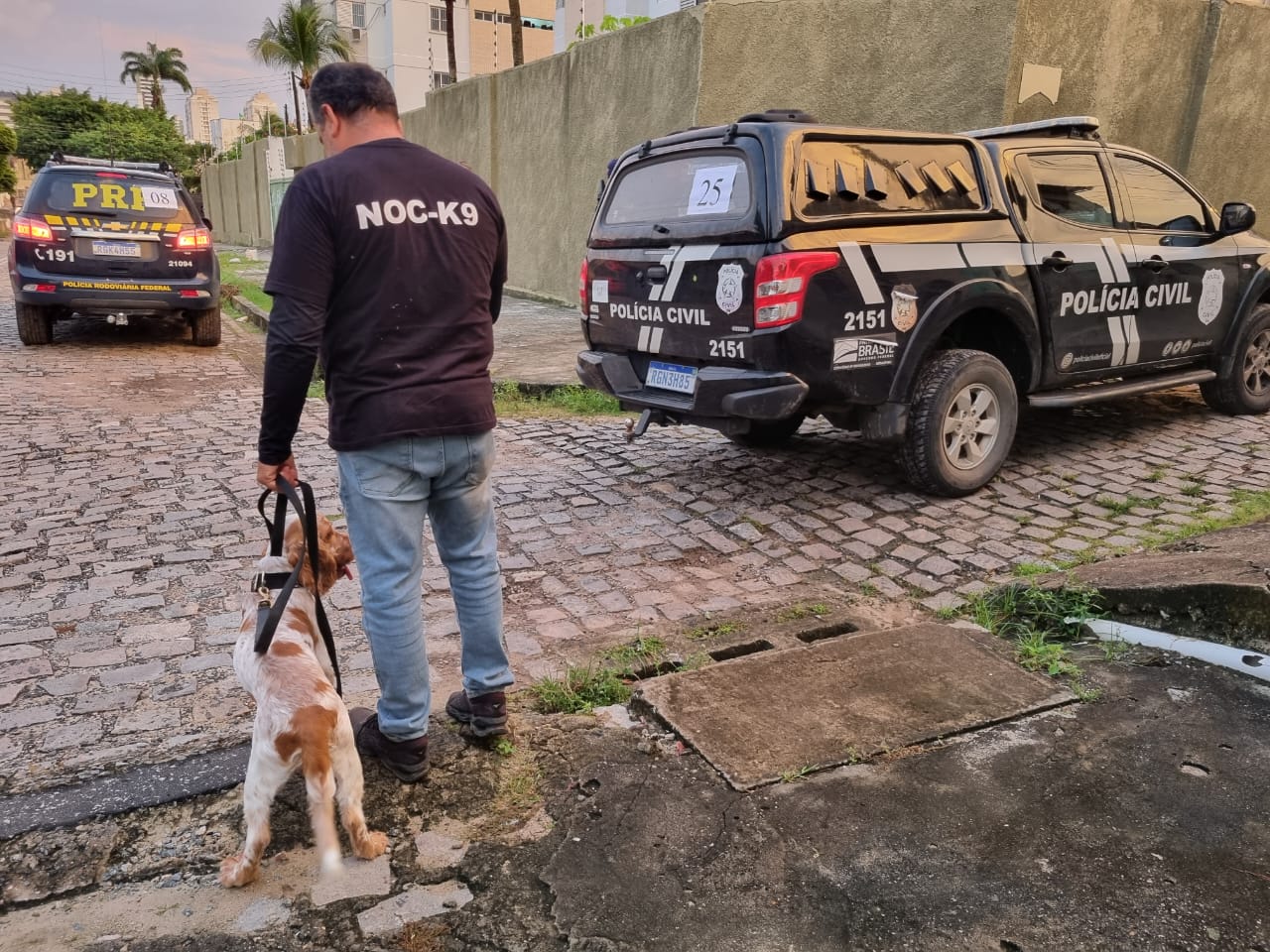 Polícia Civil cumpre 42 mandados em operação contra o tráfico de drogas em Natal