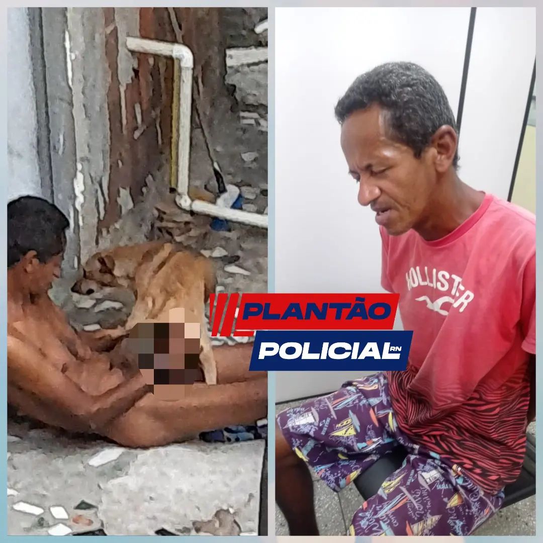 Homem é preso após ser flagrado estuprando cadela em Macaíba