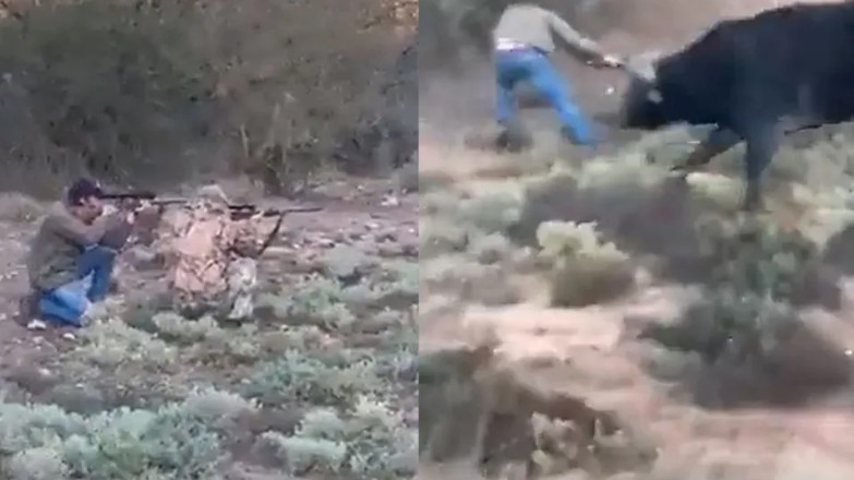 IMAGENS FORTES: Caçador mexicano atira em búfalo e é morto após chifrada
