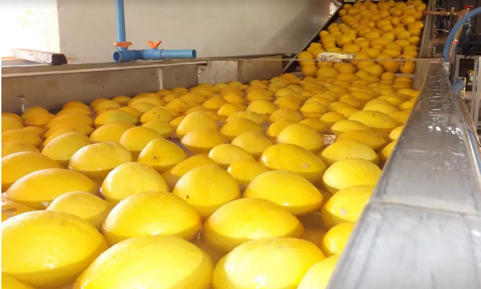 Balança comercial do RN tem saldo de 14% este ano