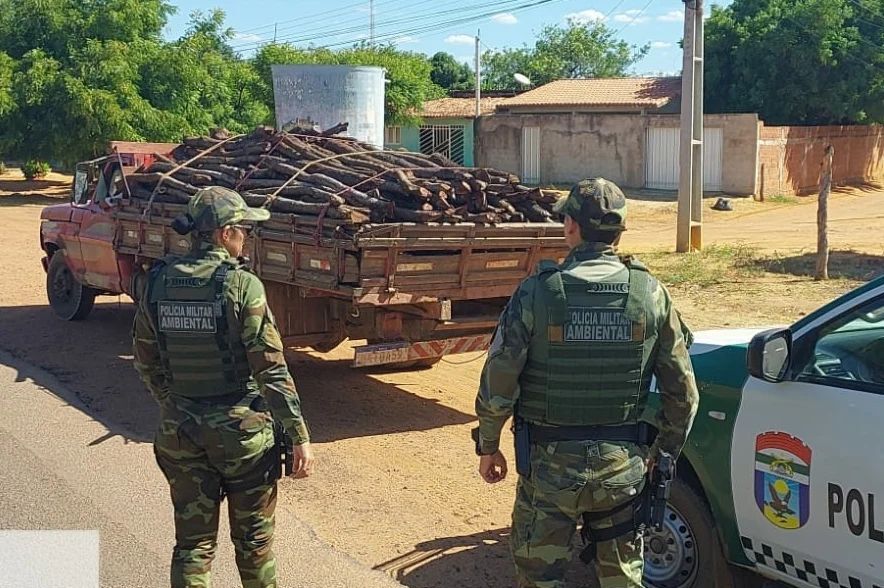 Carga de estacas de jurema é apreendida pela Polícia Ambiental no RN
