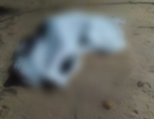 Homem morre e pai é espancado e baleado durante assalto em Mossoró