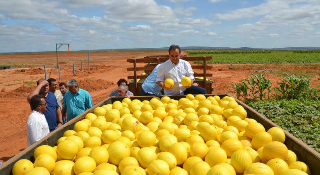 Exportação de frutas do RN é tema de reunião com ministro da Agricultura