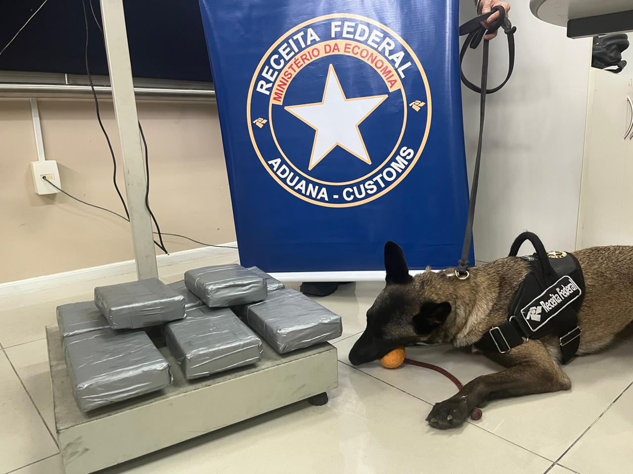Receita Federal realiza apreensão de 11 kg de cocaína no Porto de Natal