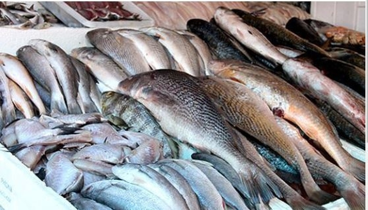 Pesquisa de preço registra reajuste de 6,70% no preço do pescado em Natal