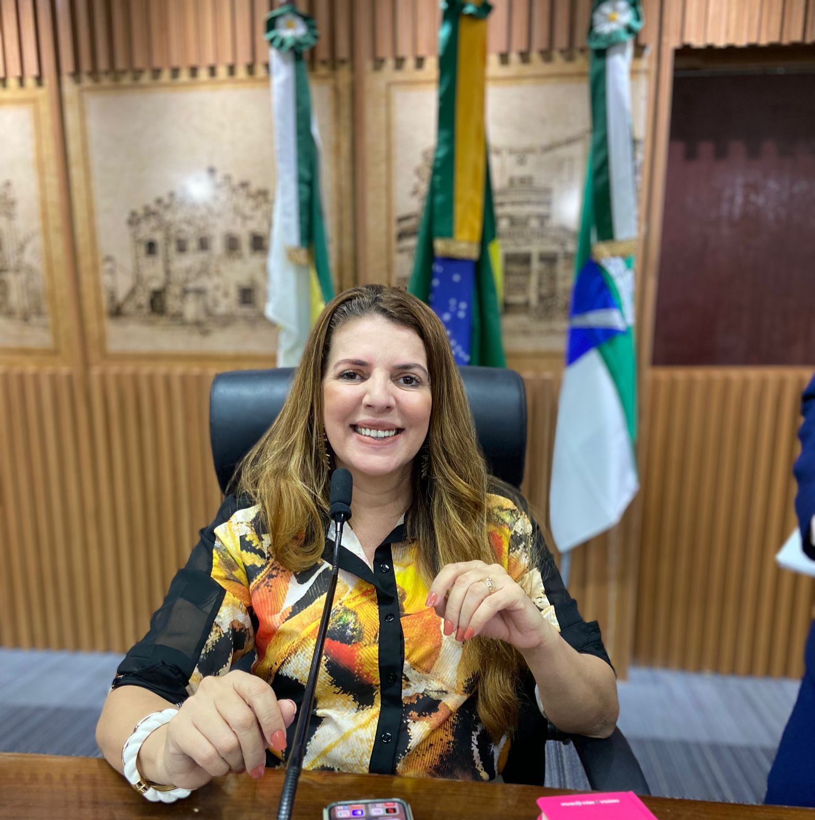 Projeto de Lei que promove a realização de mutirão de cirurgias eletivas para Mulheres é aprovado na Câmara de Natal
