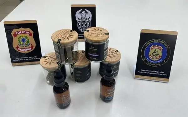 Polícia Federal do RN pode liberar “cannabis gourmet” apreendida