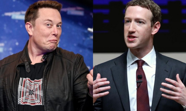 UFC DOS BILIONÁRIOS: Mark Zuckerberg aceita desafio de Elon Musk para luta de MMA