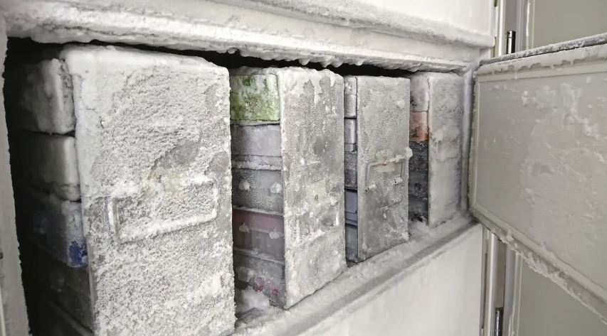 Zelador desliga freezer após ouvir “alarmes irritantes” e universidade dos EUA perde 20 anos de pesquisas