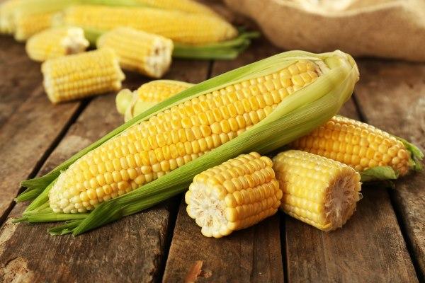 Procon Natal consta aumento no preço da espiga de milho verde na capital