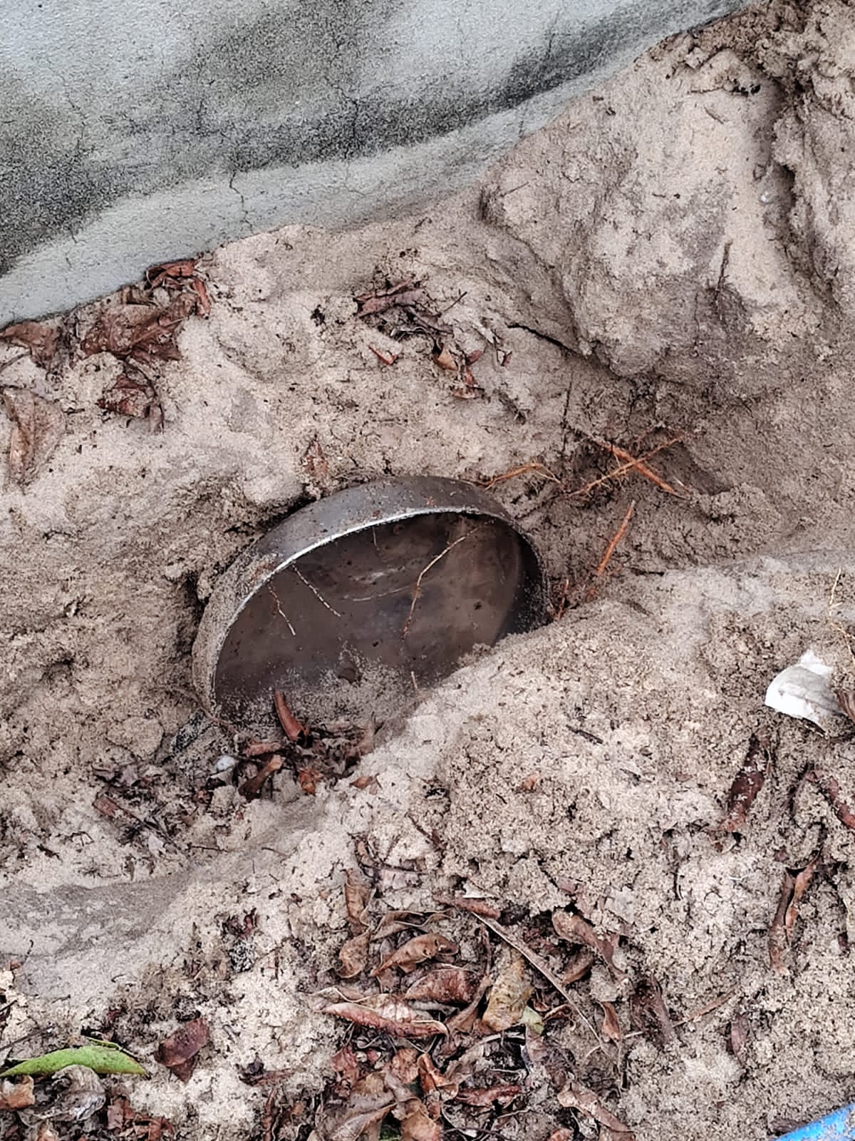 Cães farejadores encontram drogas escondidas em canos durante operação em Búzios