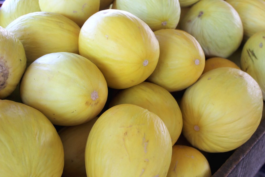 Fruticultura potiguar espera comercializar R$ 1,5 bilhão em 2023