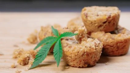 Mais de 90 crianças são hospitalizadas por comer bolinho de maconha