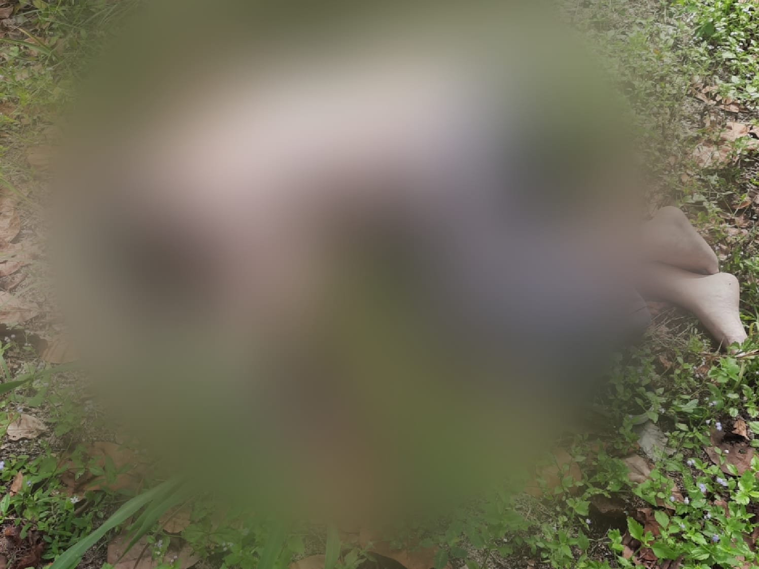Corpo de homem sem roupa é encontrado em terreno em Capim Macio