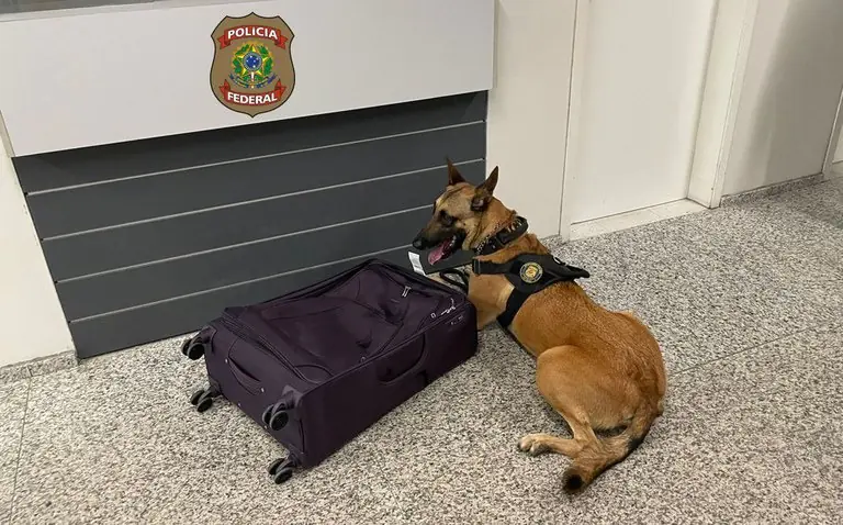 Brasileiros que traficavam drogas para Europa são presos pela Polícia Federal em aeroporto de Natal