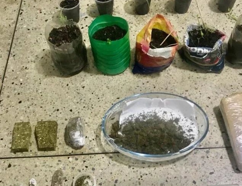 Mulher é presa com plantação de maconha no litoral do RN