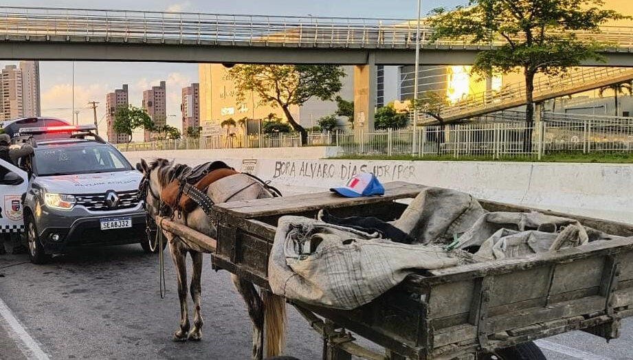 Carroceiro é preso com TV, bebidas e carnes furtados de restaurante em Natal