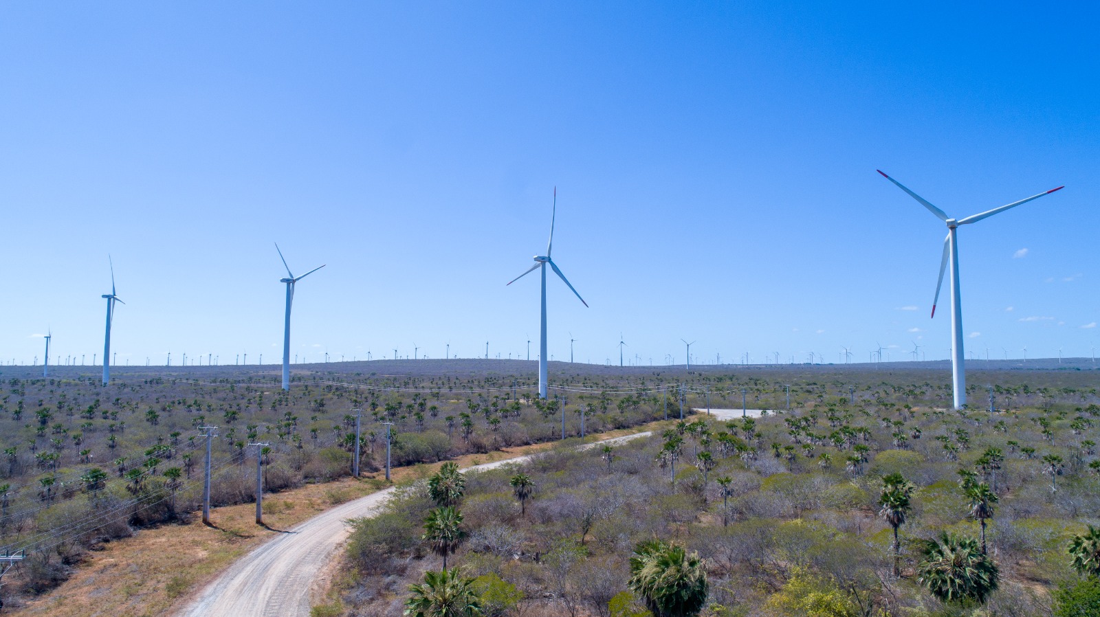 Leilão de transmissão de energia deve atrair R$ 1,9 bi em investimentos no RN