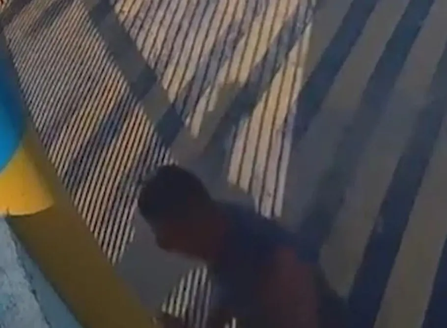 CENAS FORTES: Homem esfaqueia cachorro em Currais Novos; Polícia Civil investiga caso