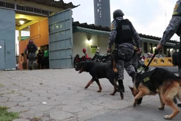 Mossoró: cães policiais detectam cheiro de fugitivos em morador do RN