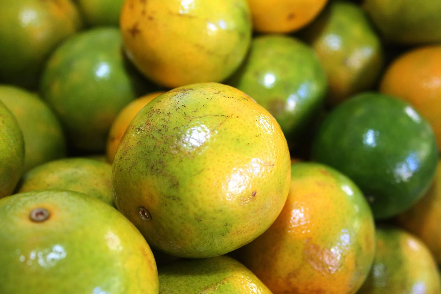 Preço da laranja aumenta 39% e impacta bolso do consumidor natalense