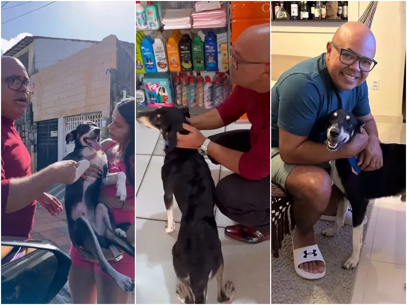 Apresentador de TV flagra abandono de cachorro em Natal, decide adotar animal e comove a web