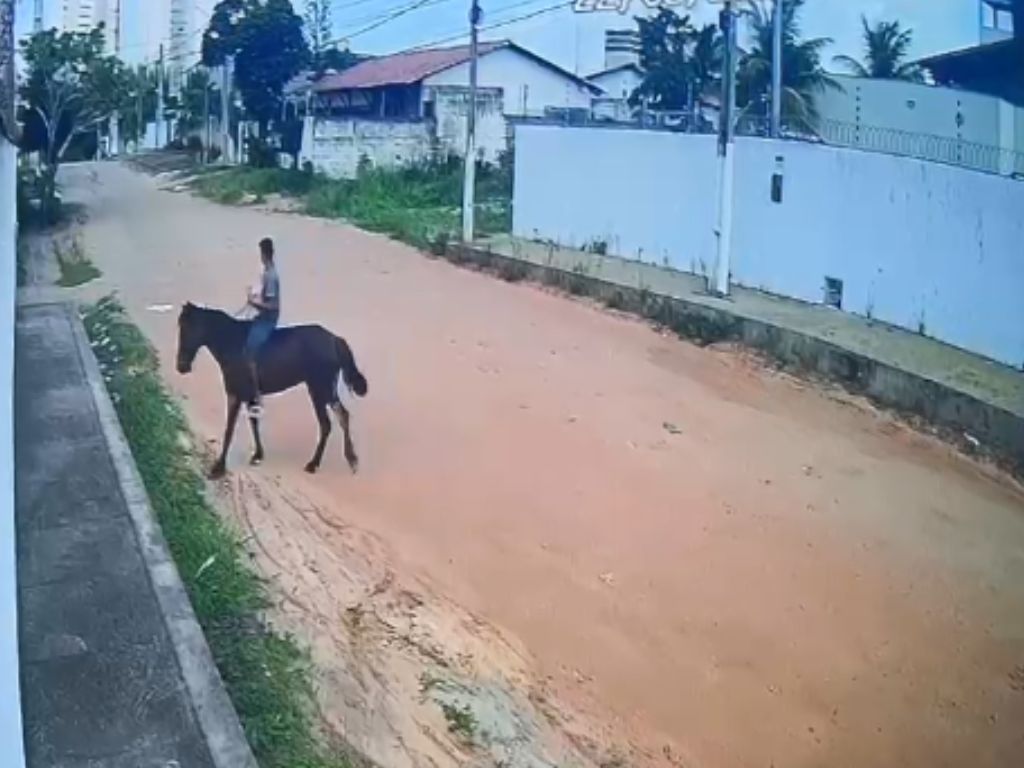 Ladrão a cavalo: homem desce de animal e rouba carro de mulher em Candelária