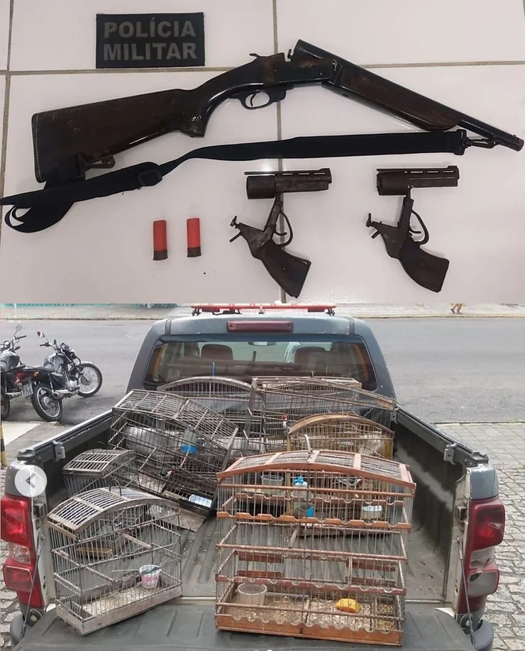 PM prende suspeito por porte ilegal de armas e tráfico de animais silvestres em Ceará-Mirim