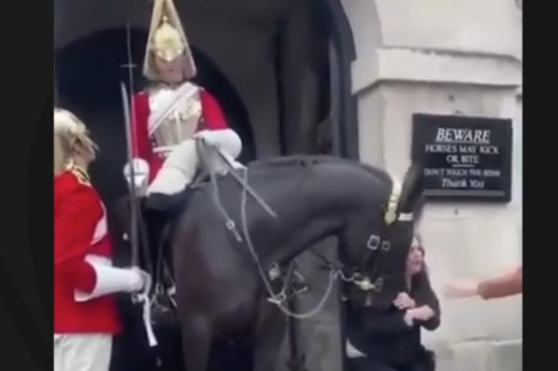 Cavalo da Guarda Real morde turista em Londres; veja vídeo
