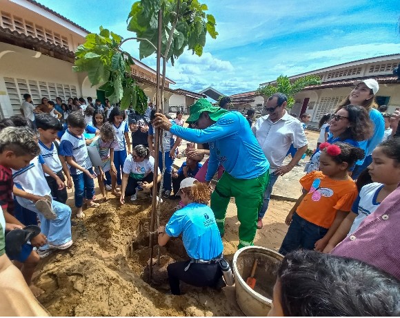 Programa “Planta Natal” cumpre meta de 20 mil mudas plantadas