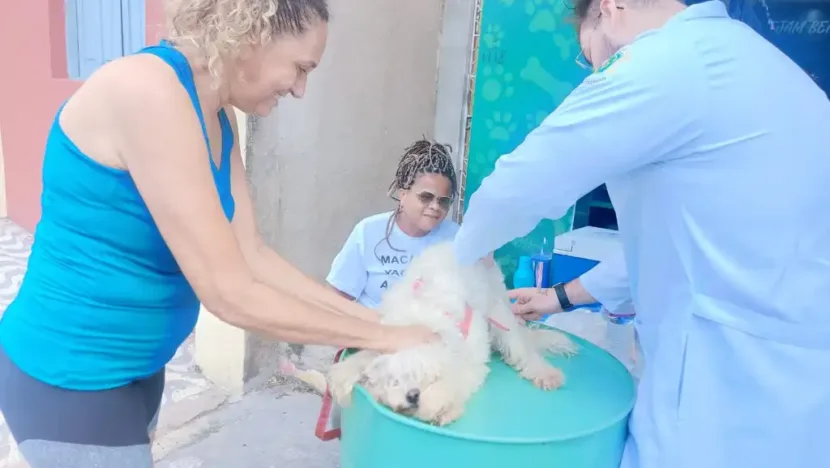 Macaíba promove vacinação antirrábica para cães e gatos