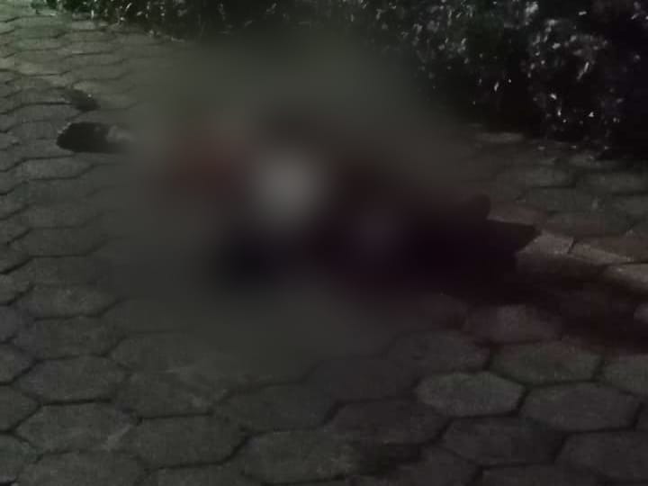 Homem é assassinado a tiros no meio da rua na praia de Pitangui