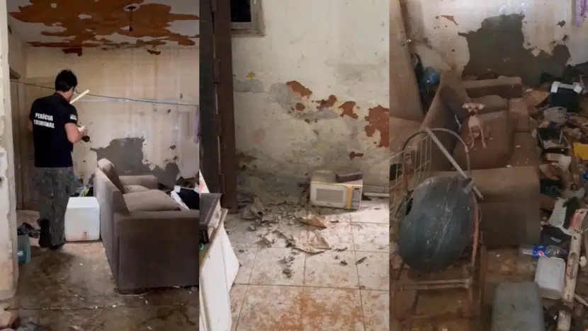 Polícia Civil resgata quatro cães em situação precária na Zona Leste de Natal